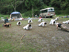 camp22 (249)_samu.gif
